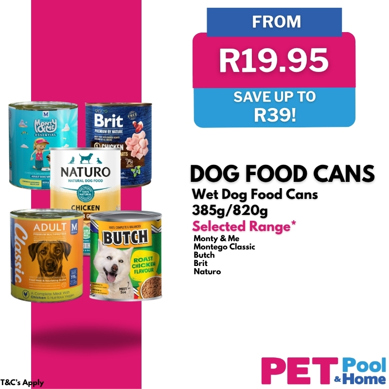 petnext.co.za 广告创意 7