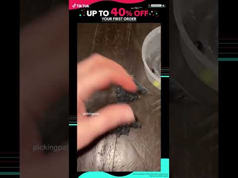 TikTok 广告素材