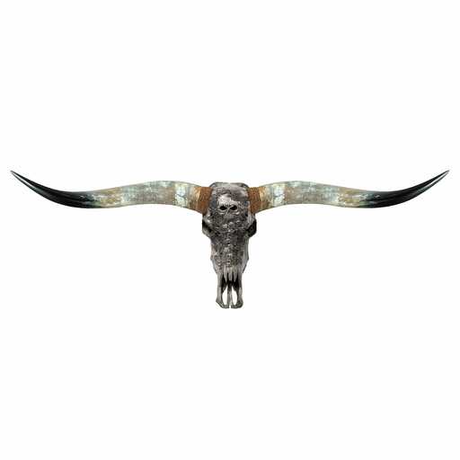 Carved Animal Skulls for Sale | Unique Skull Decor | Skull Bliss ad creative