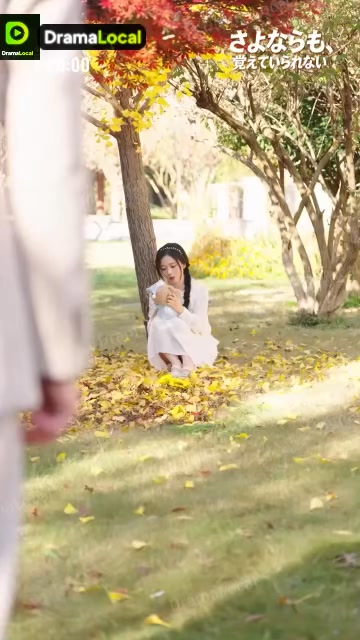 DramaLocal 广告素材