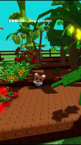 Roblox 广告素材