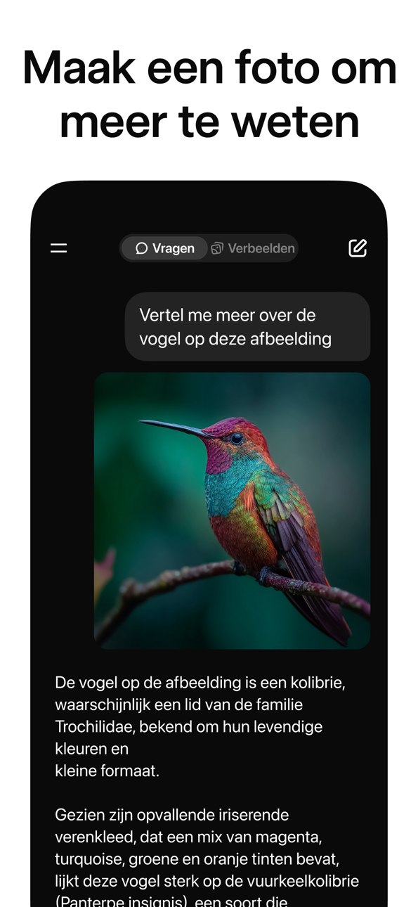 Grok - AI Chat & Video advertising creative 3