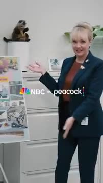 Peacock TV: Stream TV & Movies advertising creative