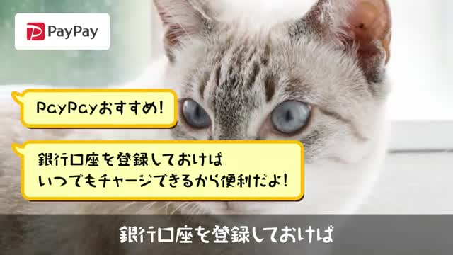 PayPay-ペイペイ 广告素材