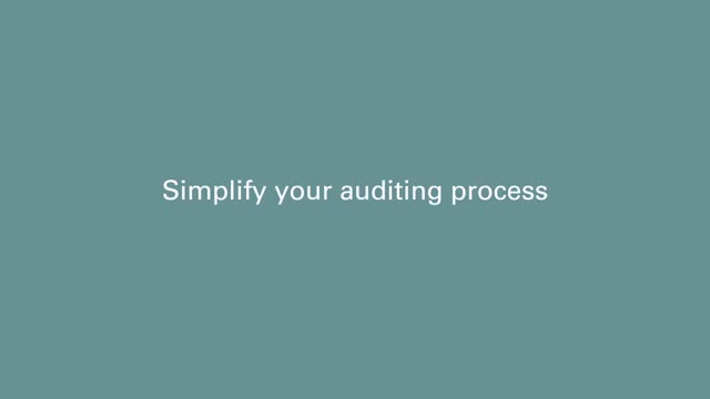 Site Audit Pro advertising creative