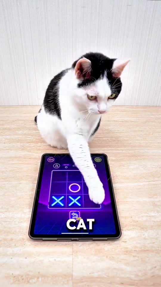 Tic Tac Toe - 2 Player XO advertising creative
